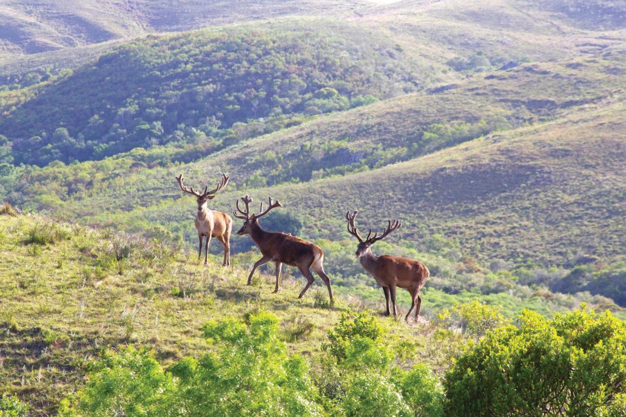 Rincon De Los Matreros Isla Patrulla Buitenkant foto