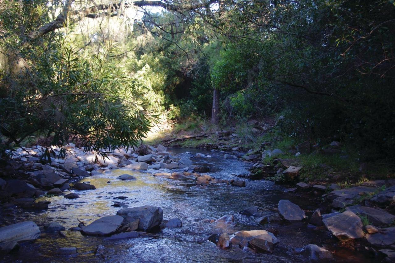 Rincon De Los Matreros Isla Patrulla Buitenkant foto